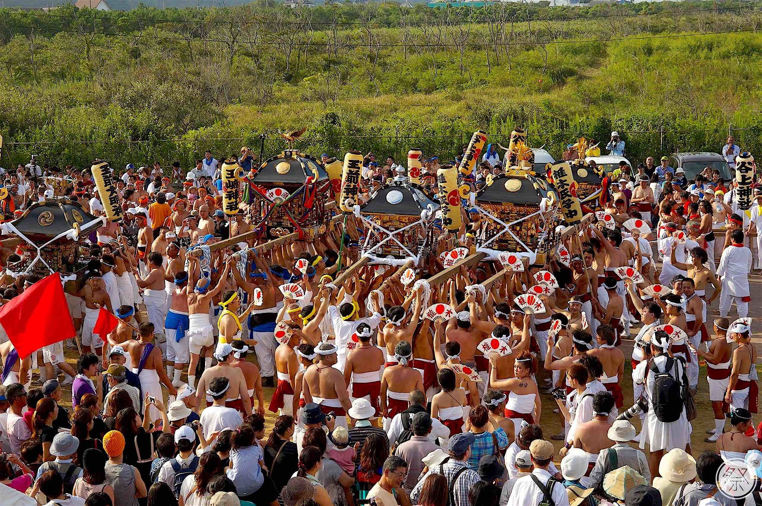 🏞️ 카즈사 사라시나 공원(카즈사 사라시나 코엔) 이미지 9